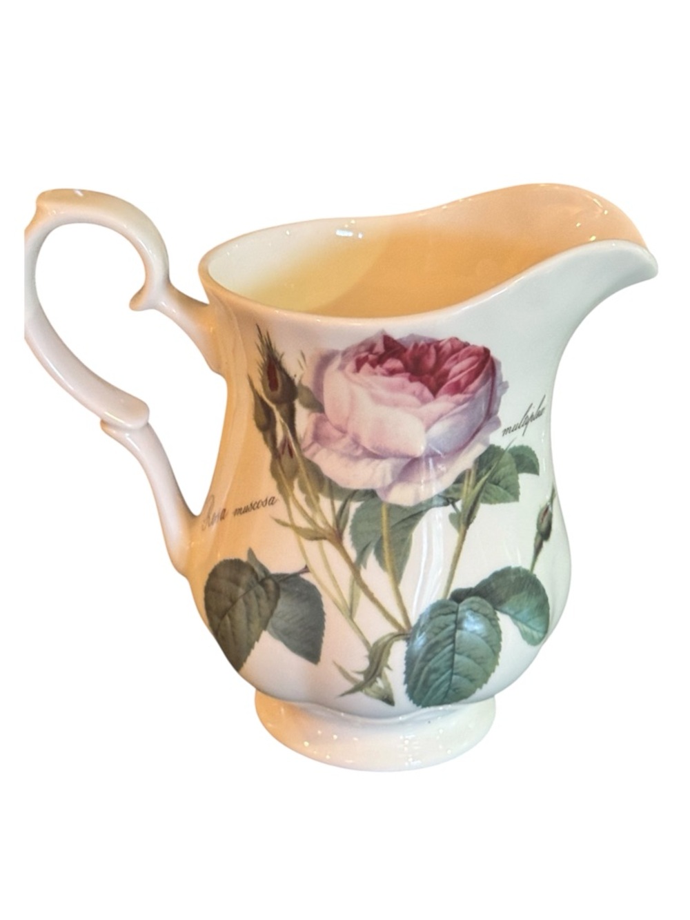Redoute Roses Roy Kirkham Water Milk Jug 5”